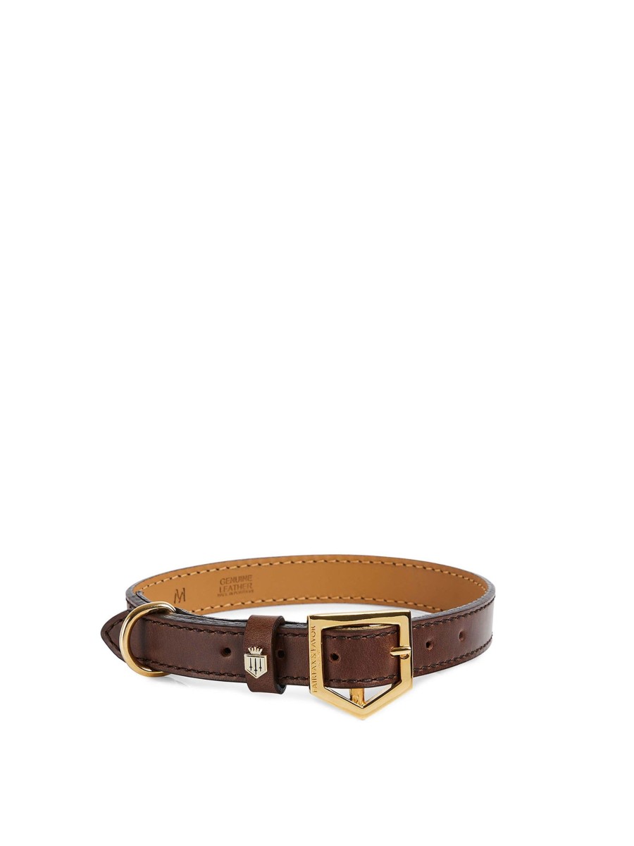 Women Fairfax & Favor Dog Collars | Mahogany Leather Dog Collar