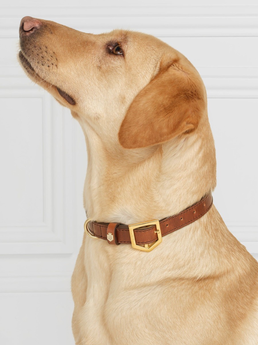 Women Fairfax & Favor Dog Collars | Tan Leather Dog Collar